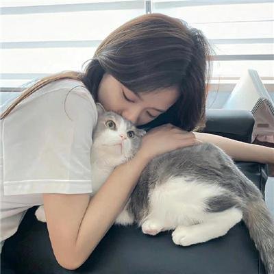 动物也疯狂